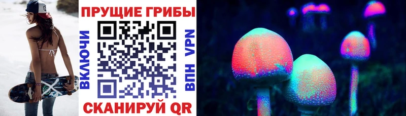 Галлюциногенные грибы Psilocybe  Райчихинск 